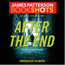 After the End: An Owen Taylor Story Audiobook