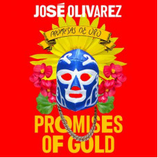 Promises of Gold Audiobook