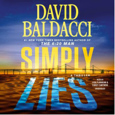 Simply Lies Audiobook